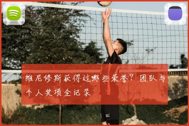 维尼修斯获得过哪些荣誉？团队与个人奖项全记录